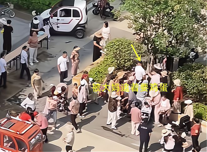 大妈连盆都端走了还围堵物业要鸡蛋开元棋牌山东：小区端午免费包粽子