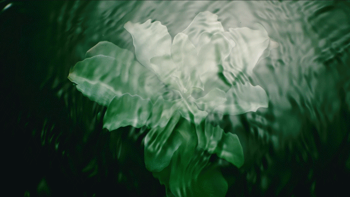 思黎全能乳送菁纯眼霜5ml！入冬速囤开元棋牌网站终于蹲到了！299元抢希(图17)